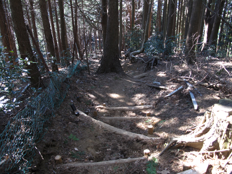 20170126hike (358)